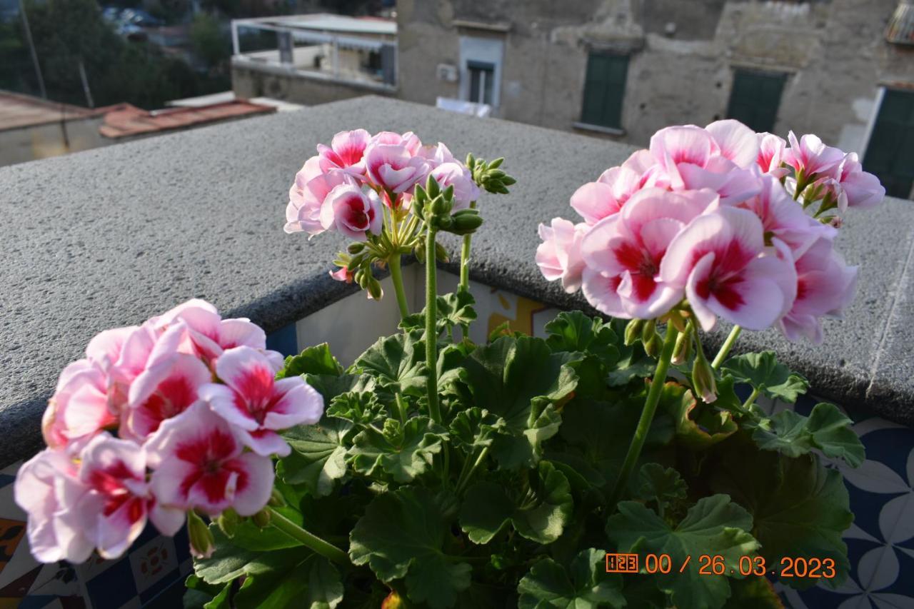 Casa Materdei Apartment เนเปิลส์ ภายนอก รูปภาพ